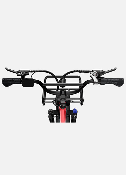 Engwe L20 250W Electric Bike Step-through Bike 13Ah 20" Fat E-Bike