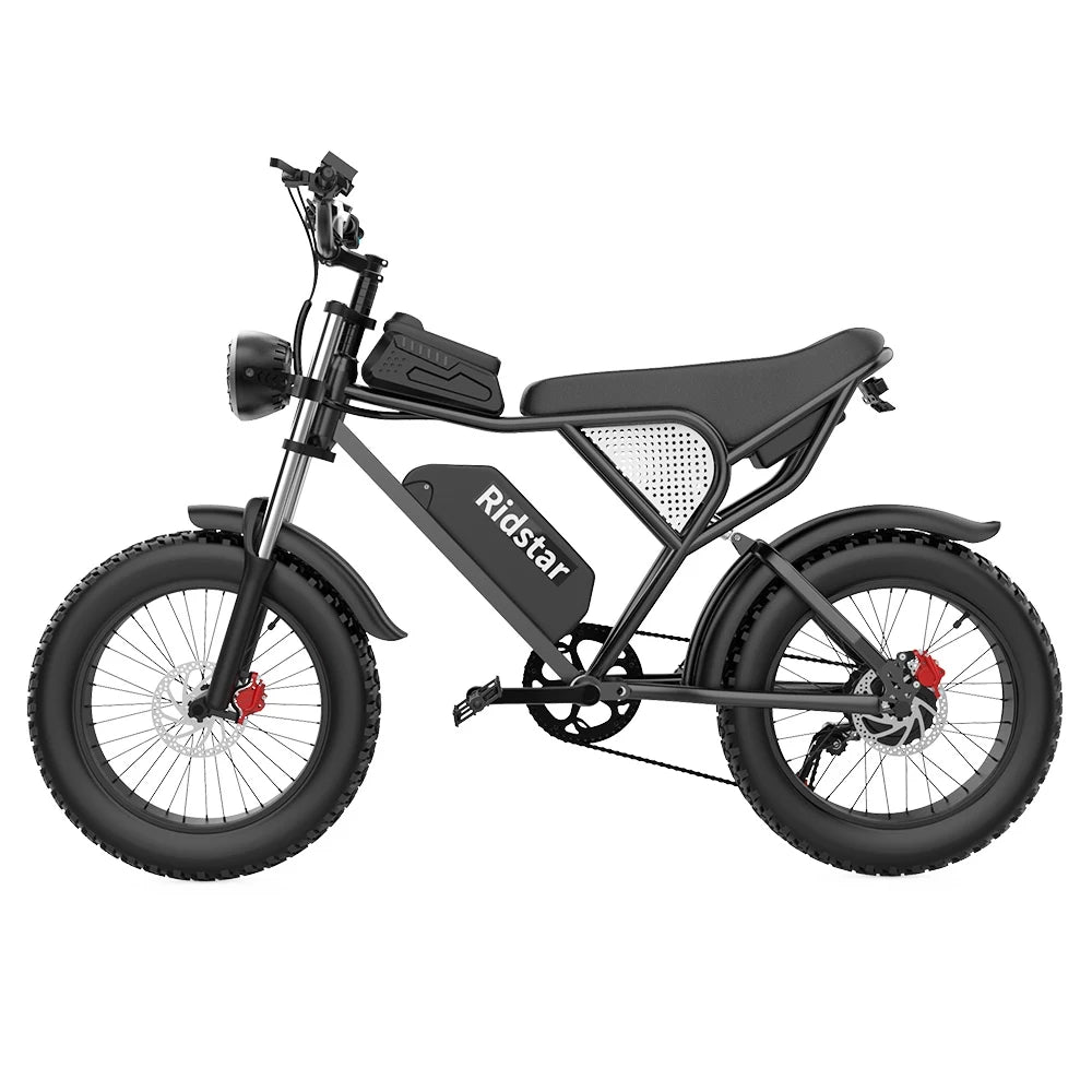 Ridstar Q20 1000W 20" Fat Bike 20Ah E-Mountain Bike E-MTB